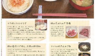 2015-4月号桜を食べようのサムネイル