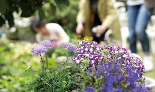 手入れされた庭・お花