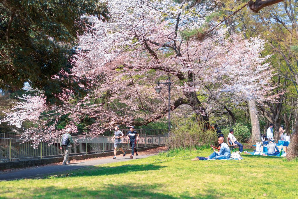 公園の桜の下を走る男性２人。芝生にはギターをひく男性や集まって食事をする人たちも